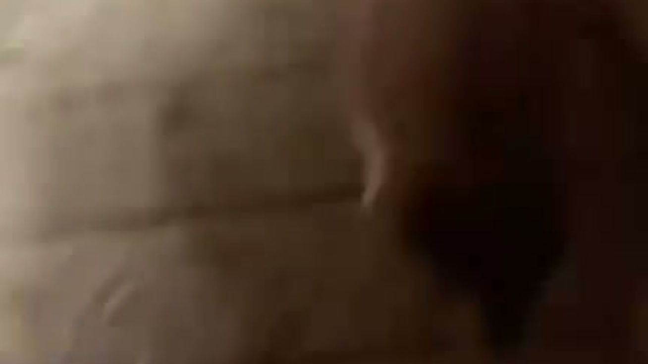 Puppy Live Pupdate Pt2